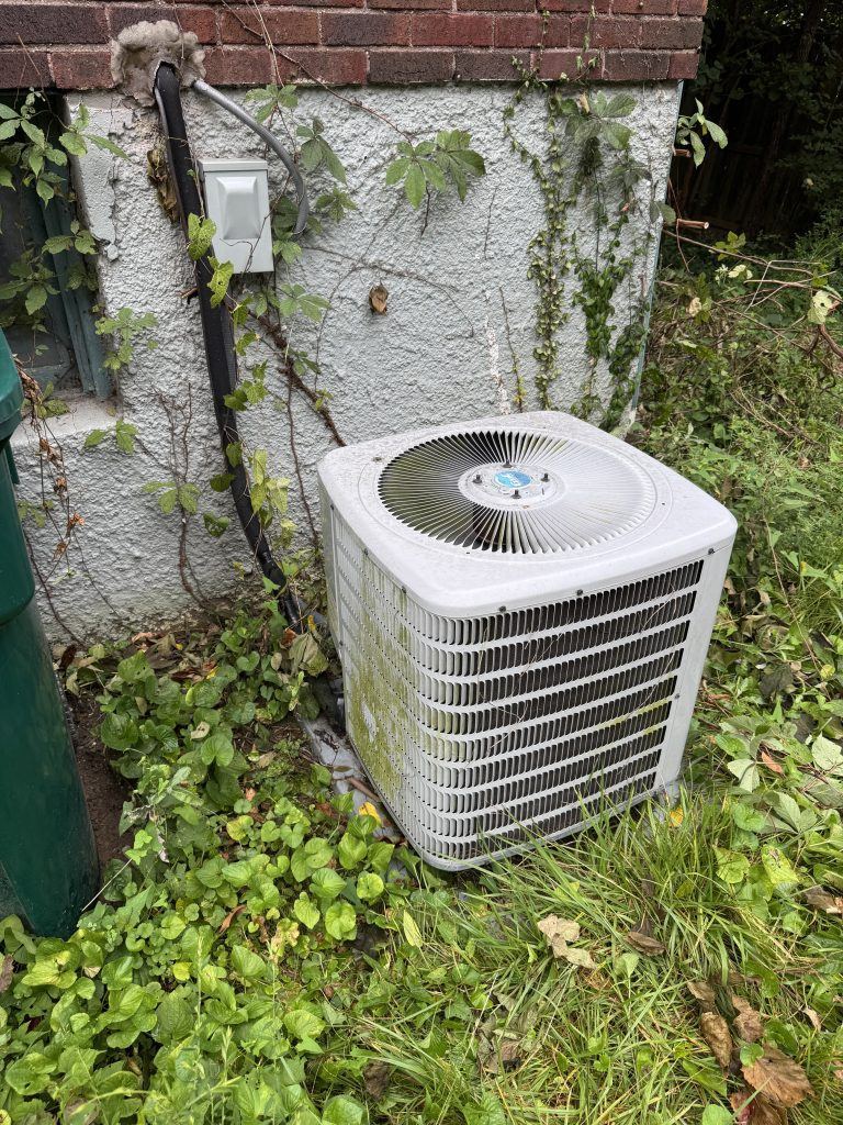 Outdoor air conditioner buried in weeds and overgrowth before a Hoov Air tune-up
