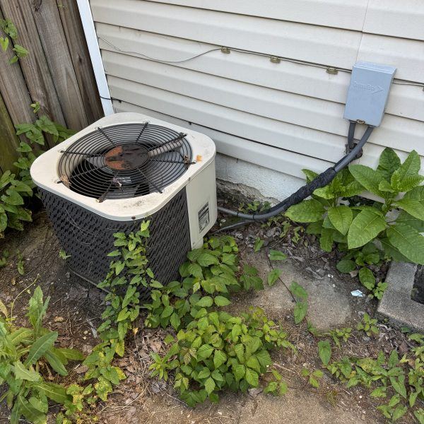 Old rusted air conditioner condenser buried in weeds before replacement